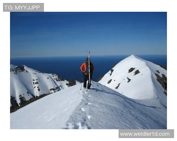 陈丽谈极限运动的挑战与成长分享她的激情与坚持之路MBA